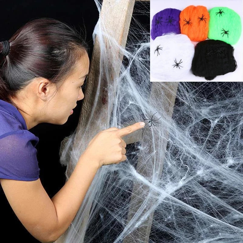 ASIMM Halloween Spider Web